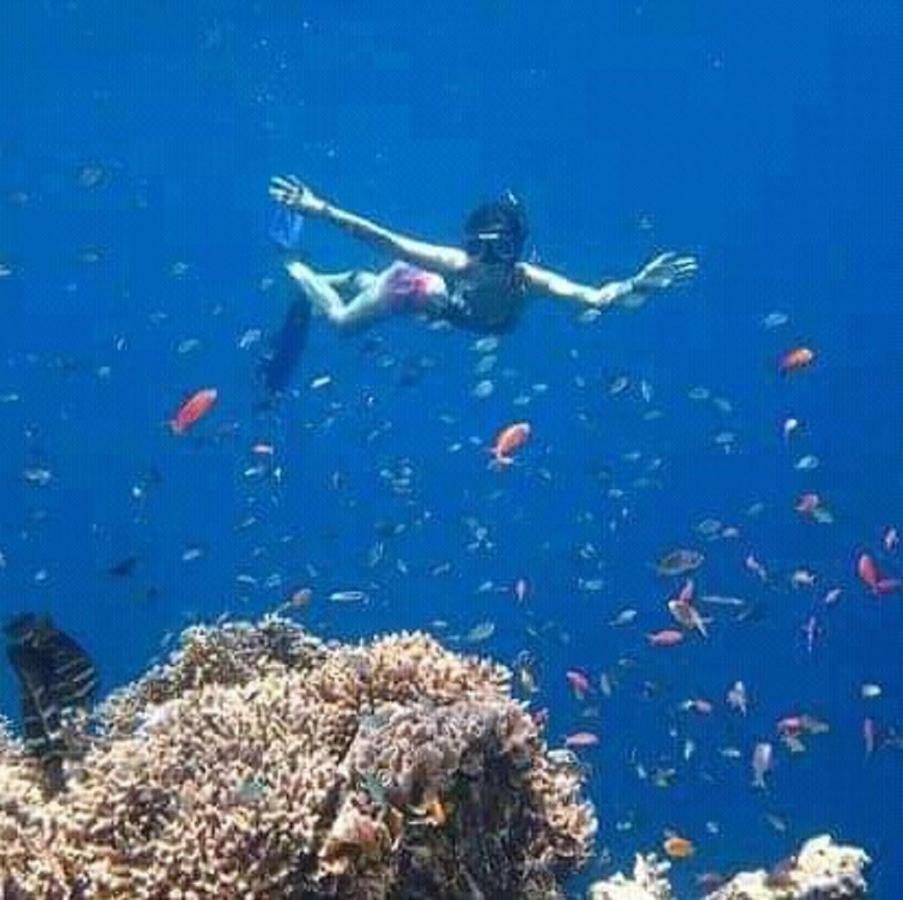 Taman Menjangan Homestay By Snorkelingmenjangan Banyuwedang Eksteriør bilde